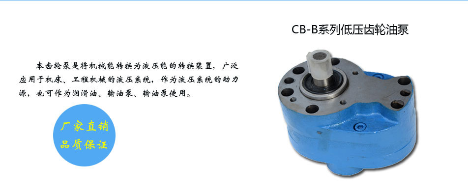  CB-B齿轮泵